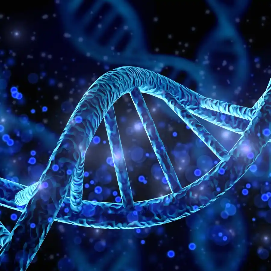 EVALUACIÓN DE LA FRAGMENTACIÓN DEL ADN ESPERMÁTICO