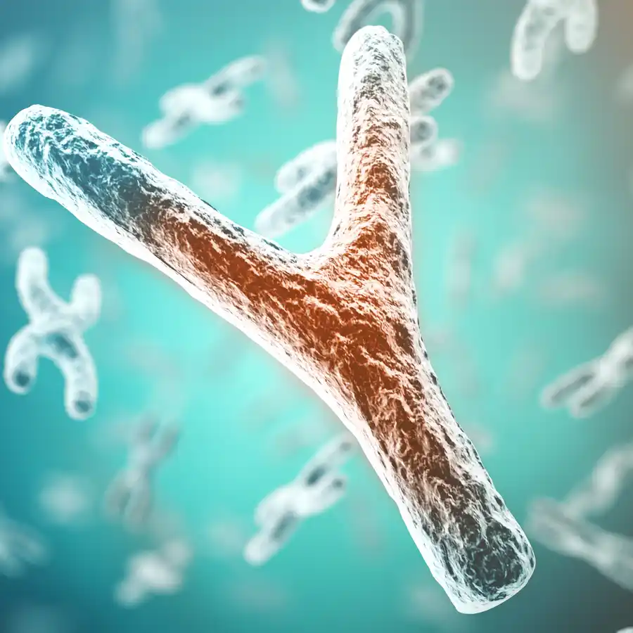 MICRODELECIÓN DEL CROMOSOMA Y