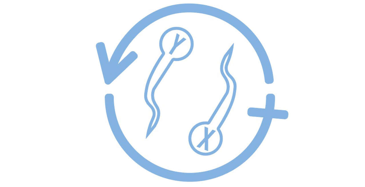 Preselección de Sexos de Espermas